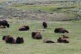 /album/zaterdag-13-juli-mammoth-hot-springs-old-faithful/img-0913-jpg/